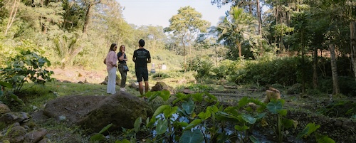 personas caminando por un bosque, rodeadas de árboles y rocas
